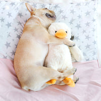 Soft & Cuddly Pet Companion | Cozy Plush Dog Toy for Kids & Pet Lovers 4