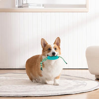 Interactive Corn Dog Chew Toy – Teeth Cleaning Toy for Puppies & Aggressive Chewers 7
